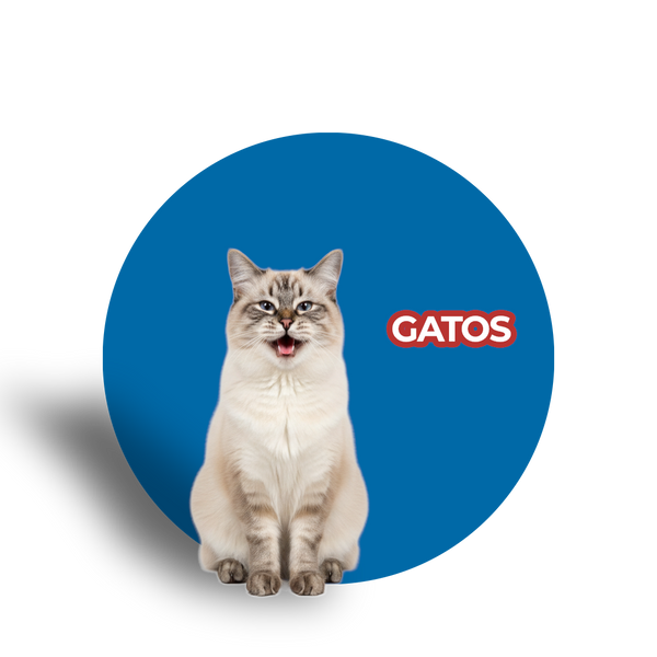 Gatos