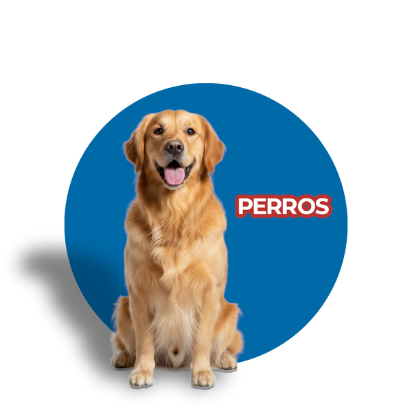 Perros
